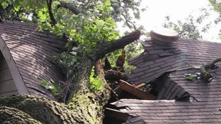 Storm Damage Repair